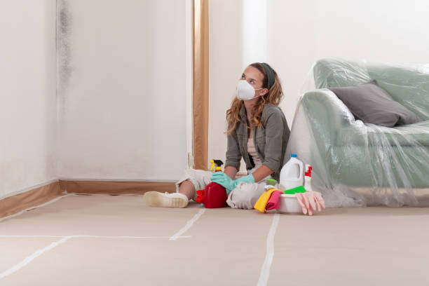 Reliable Mold Remediation contractor in New Berlin, IL by WQB Mold Removal